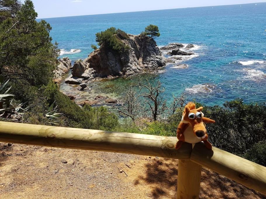Appartement Residential Flat Lloret de Mar